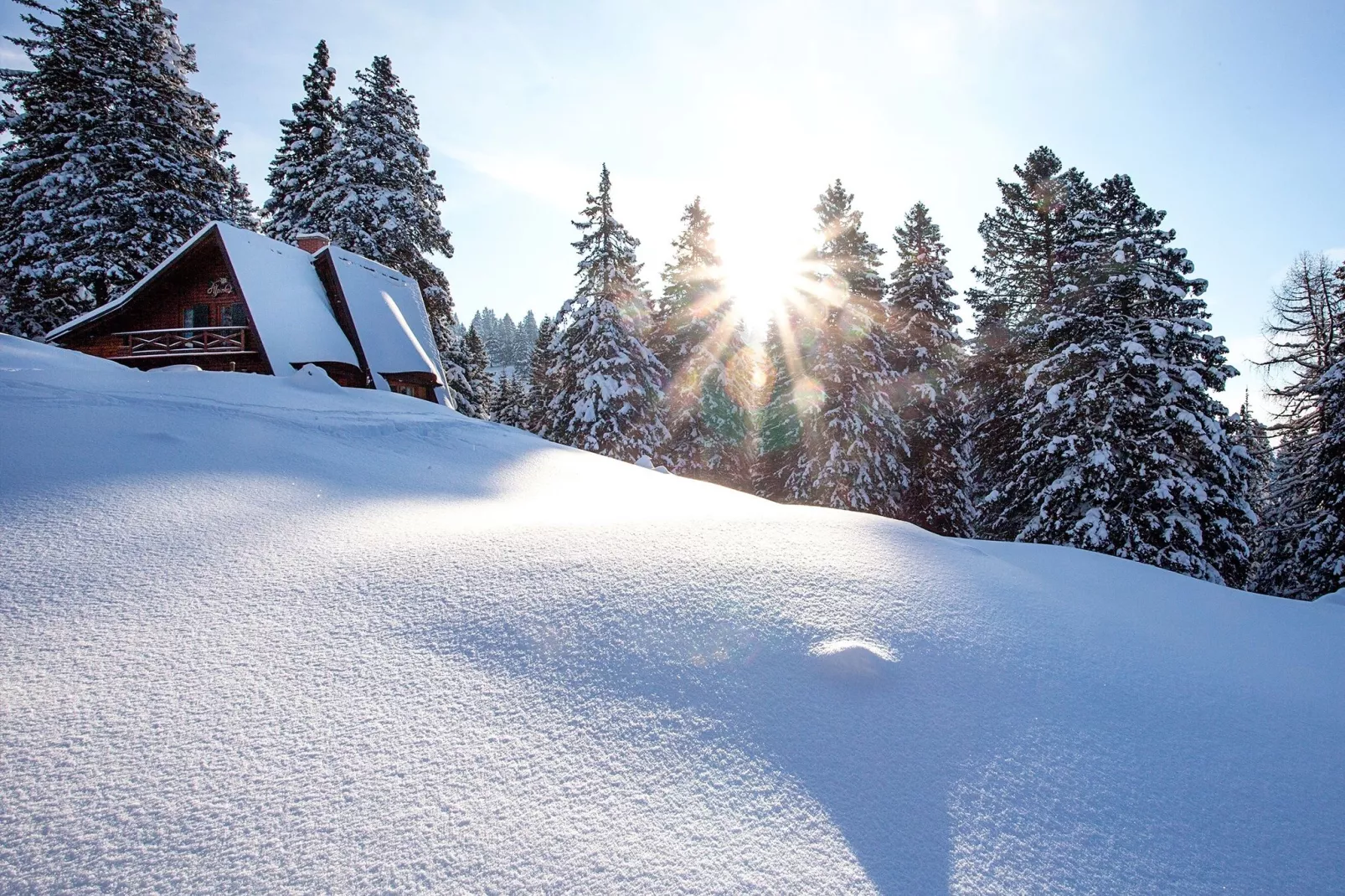 Brunarica Alpinka I-Exterieur winter