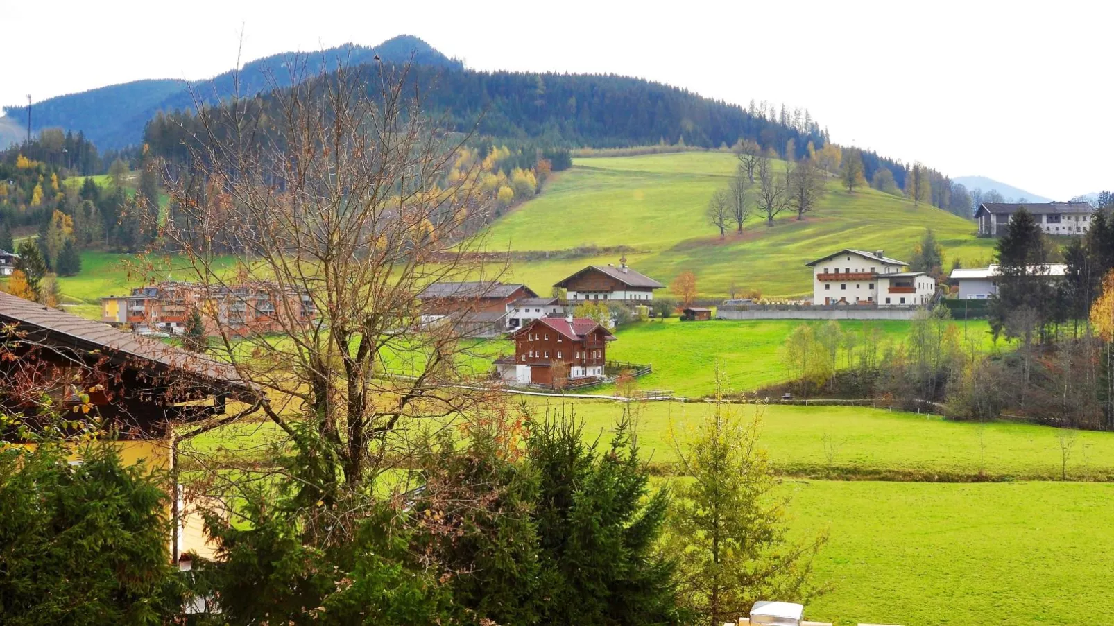 Bergblick-Uitzicht zomer