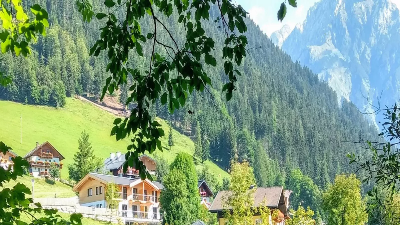 Bergblick-Gebieden zomer 1km