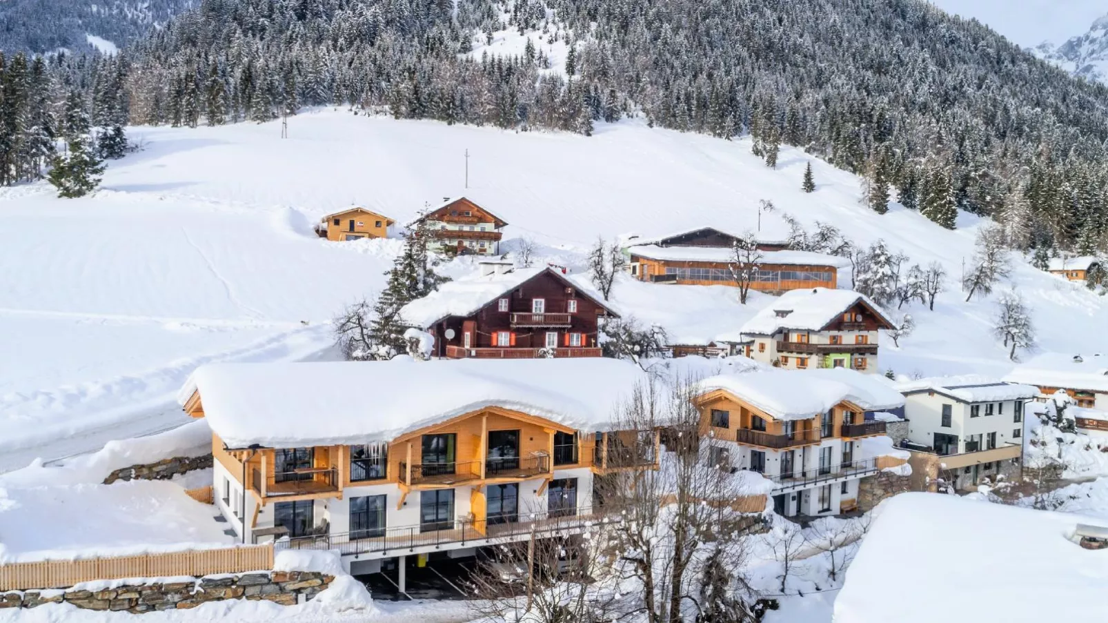 Bergblick-Exterieur winter