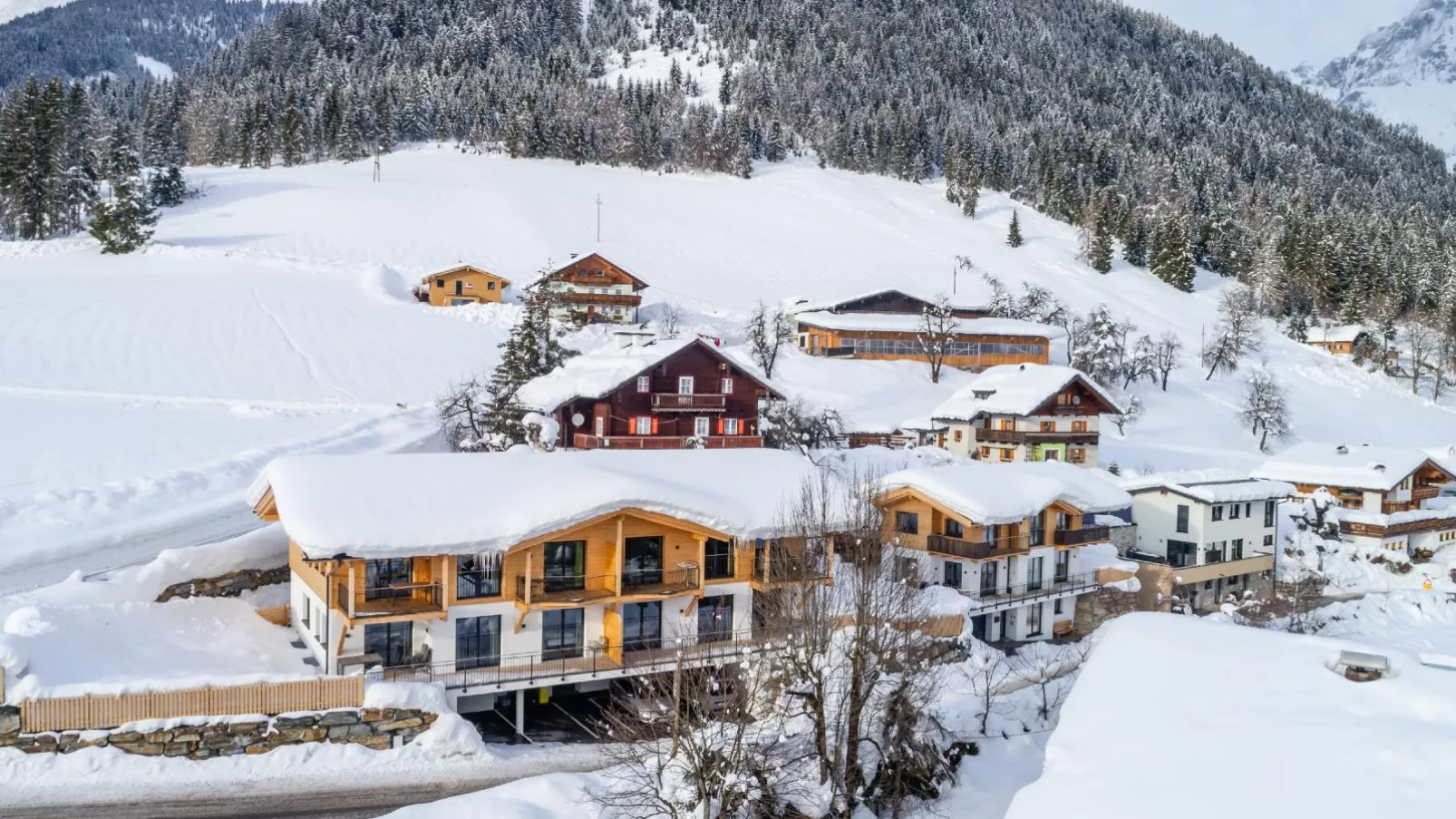 Adlerblick-Exterieur winter