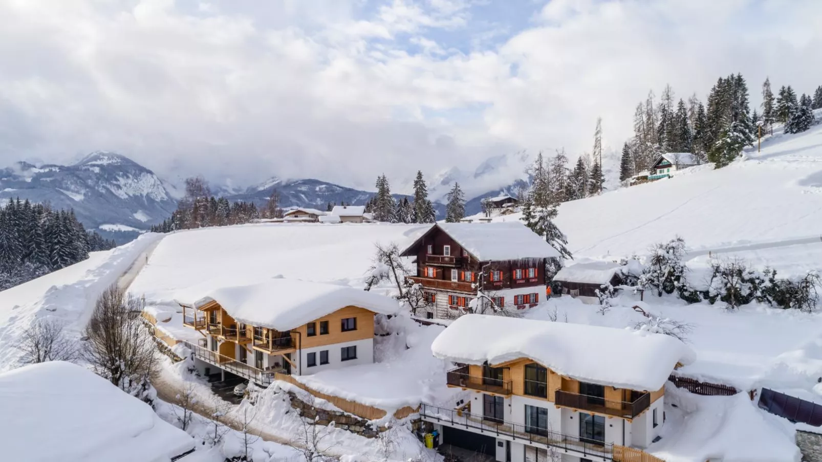 Adlerblick-Exterieur winter