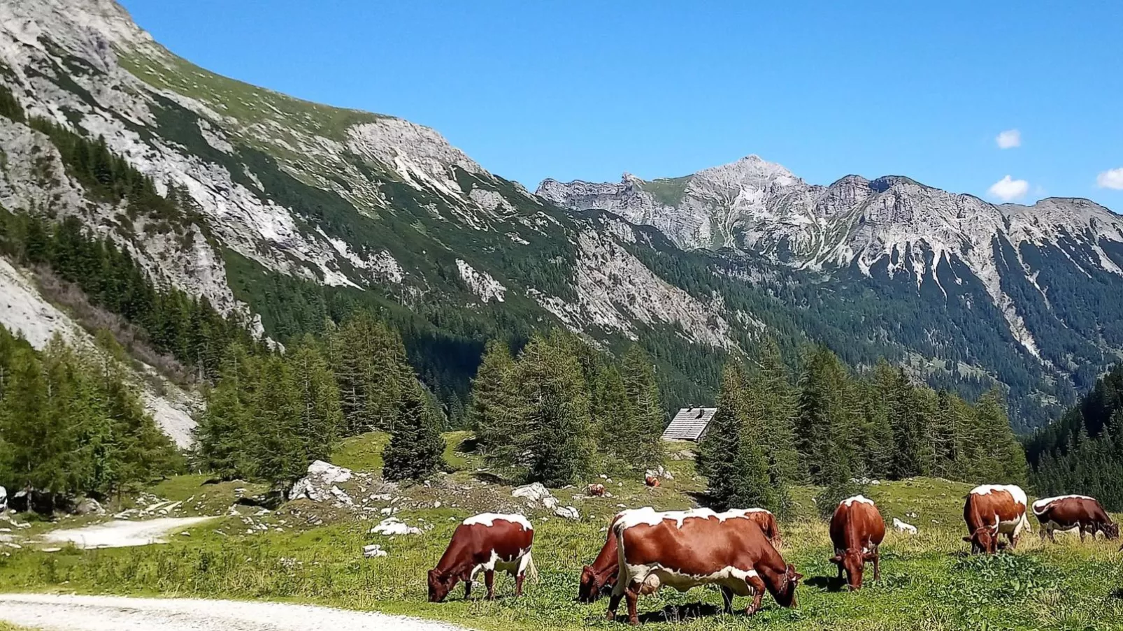 Wolfgangchalet B-Gebieden zomer 5km