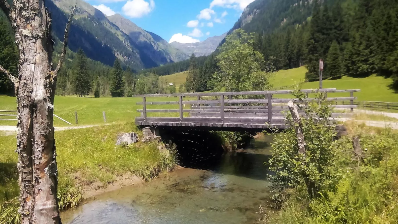 Wolfgangchalet C-Gebieden zomer 5km