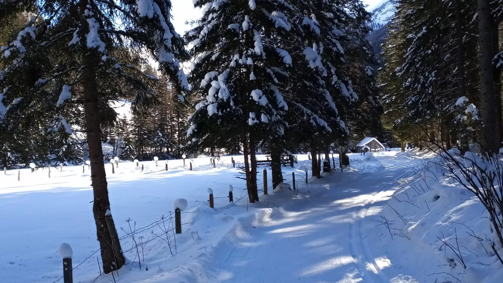 Wolfgangchalet C-Gebied winter 5km