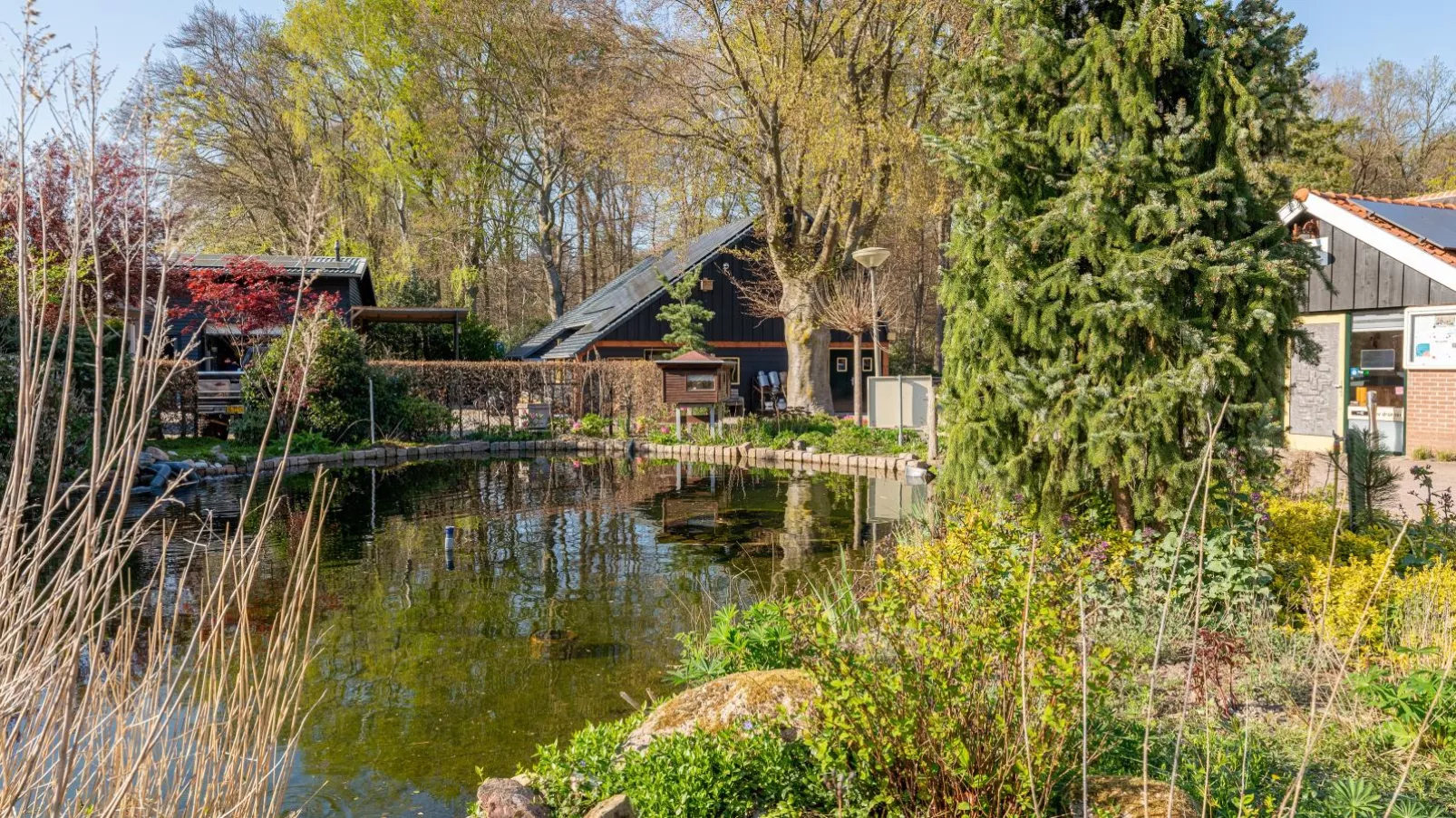 Tiny Zwarte Mees-Parkfaciliteiten