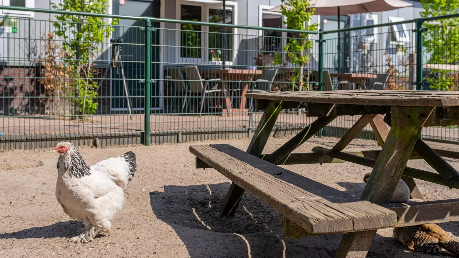 Vakantiehuis Das-Parkfaciliteiten