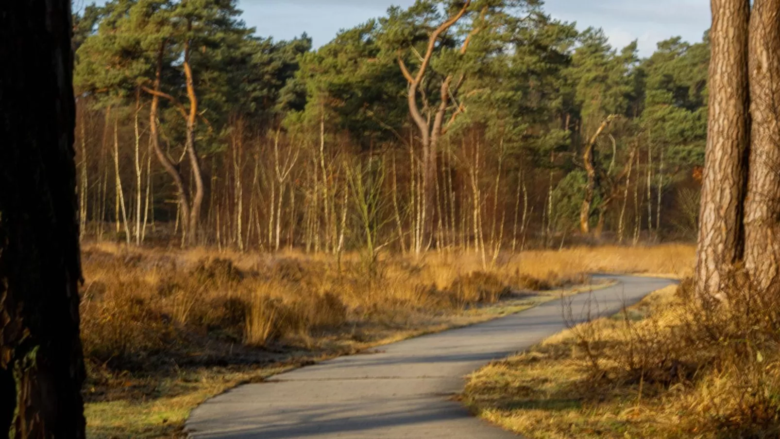 Tiny House Kuifmees-Gebieden zomer 5km