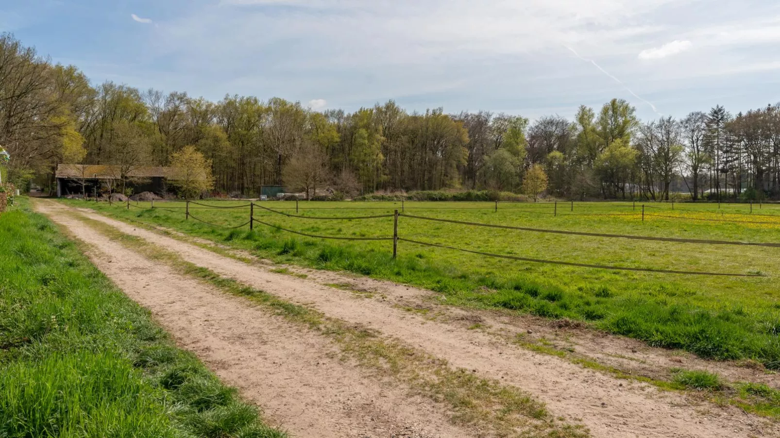 Tiny house Pimpelmees-Gebieden zomer 1km