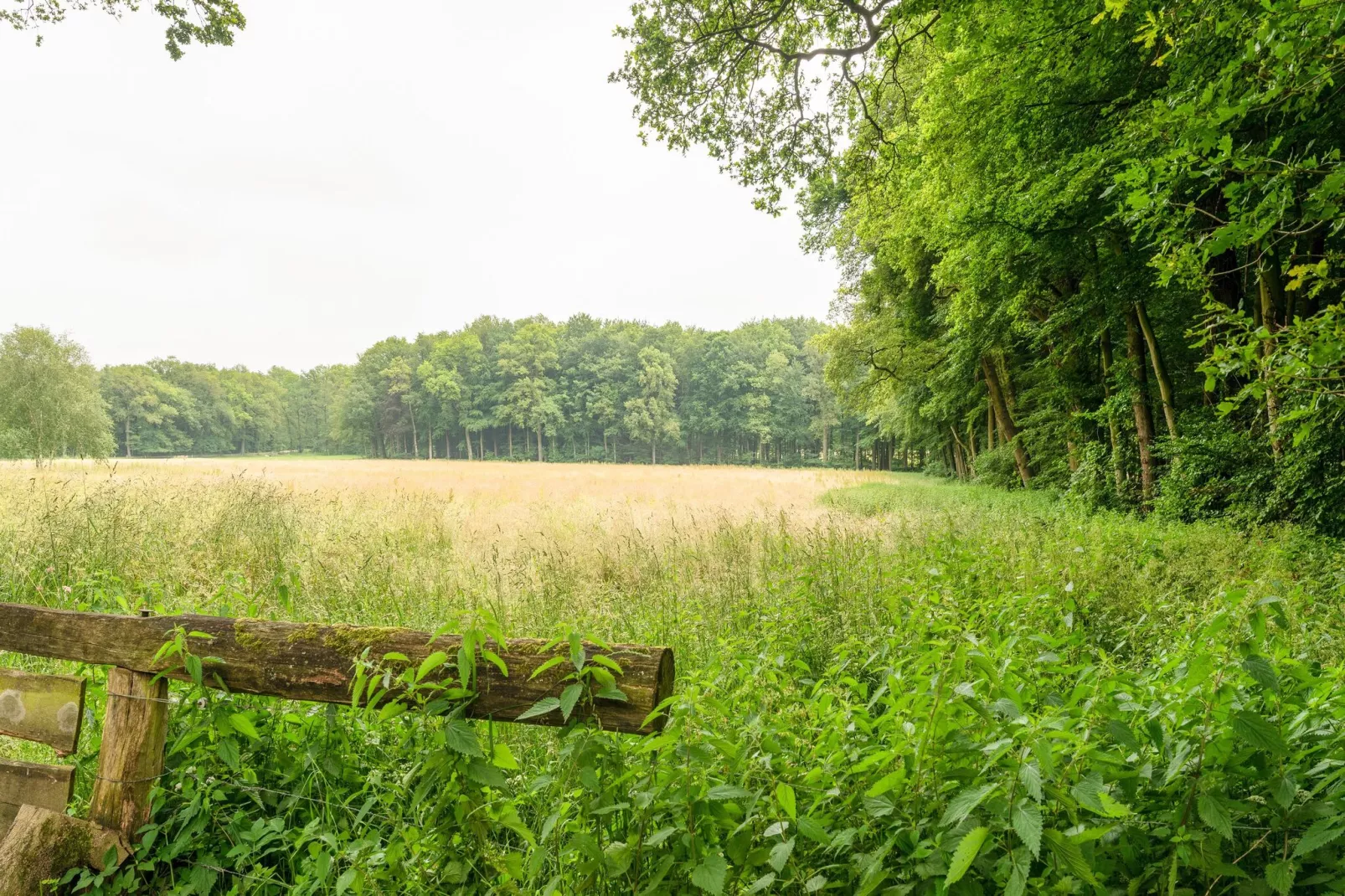 De Engelse tuin van Oldenzaal-Uitzicht zomer