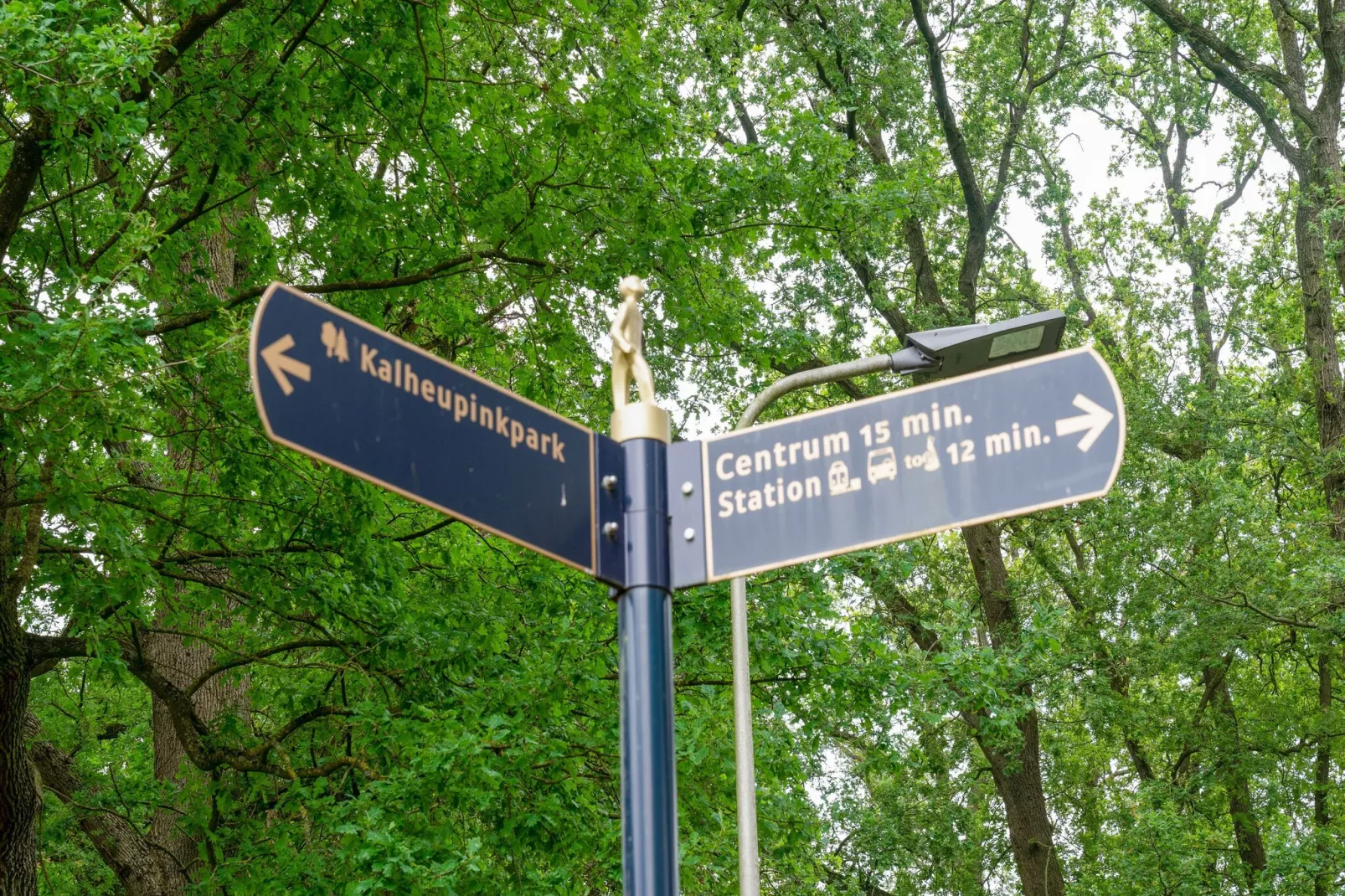 De Engelse tuin van Oldenzaal-Gebieden zomer 5km