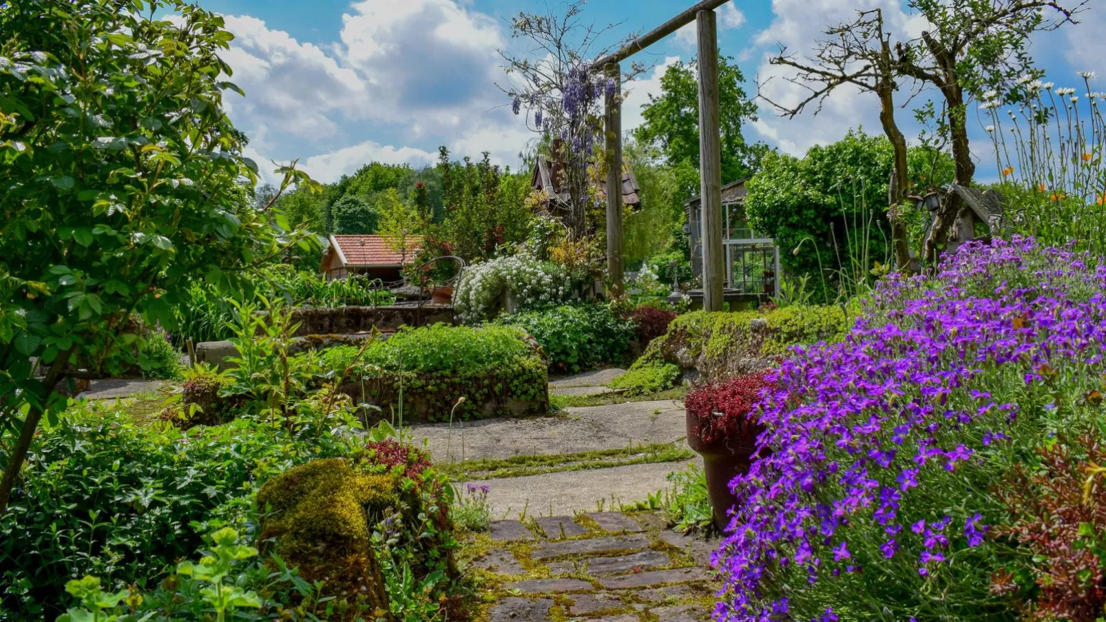 Atelier Roza-Tuinen zomer
