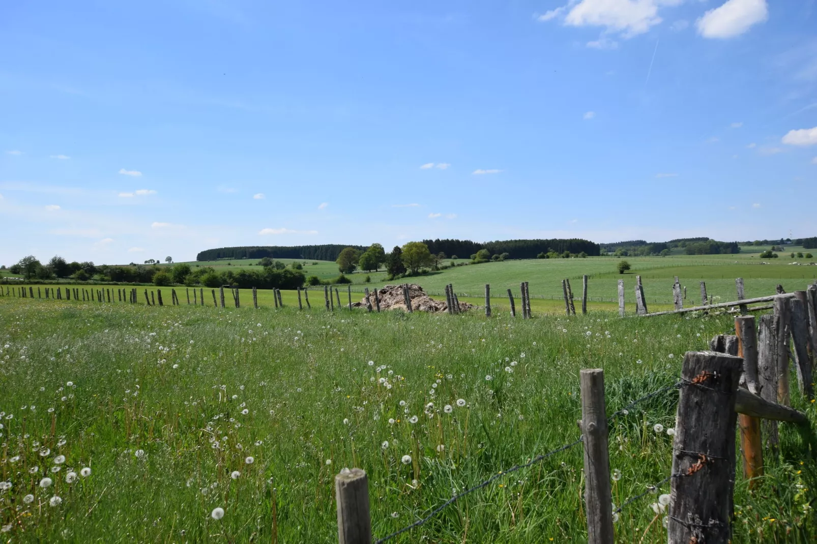 A la Clairette-Gebieden zomer 1km