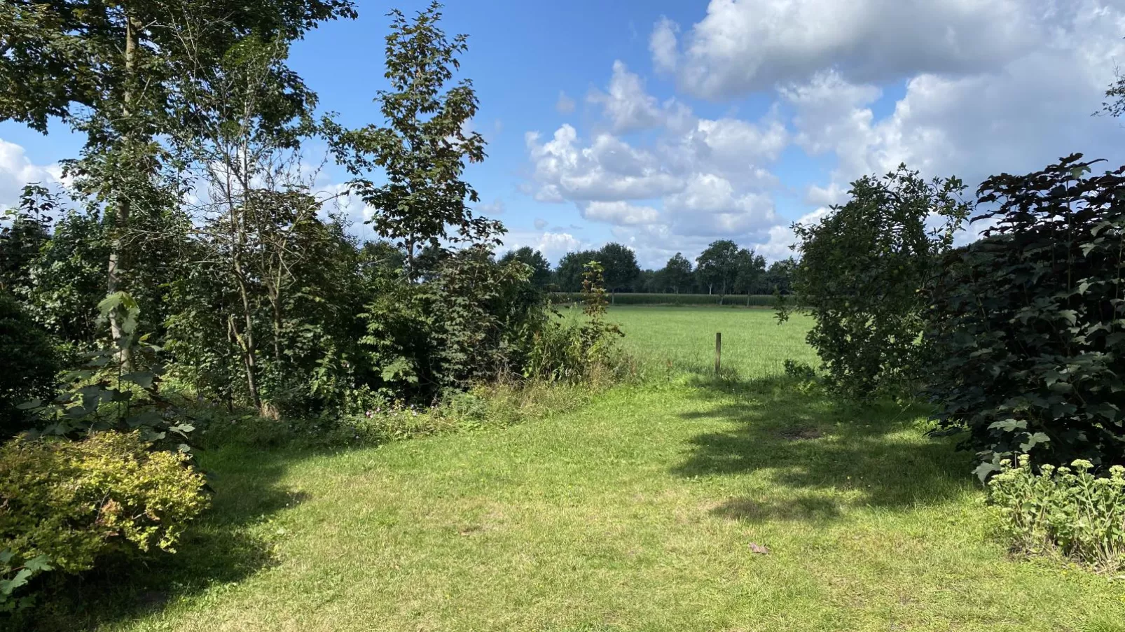 De Meerenhoeve-Tuinen zomer