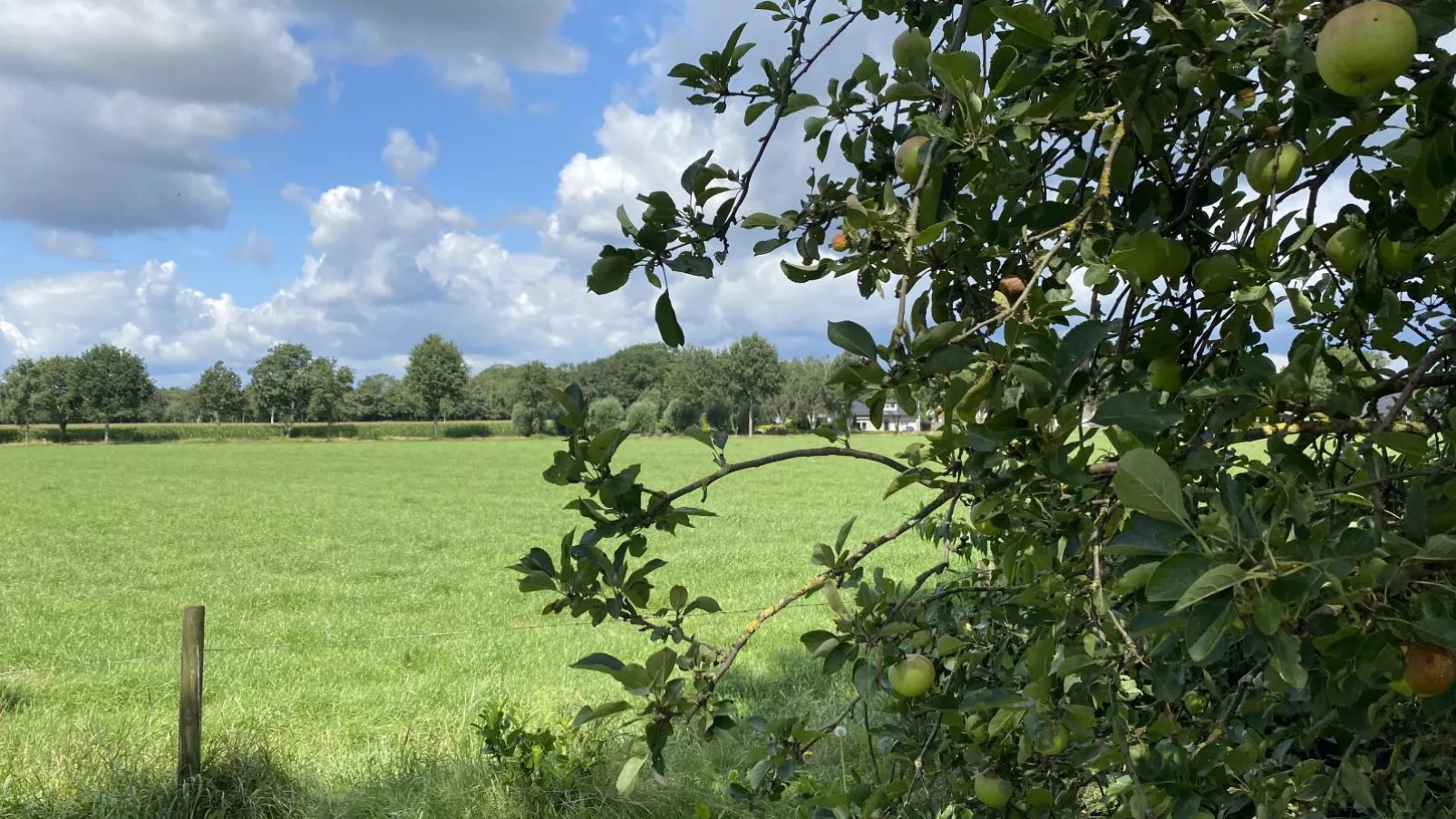 De Meerenhoeve-Uitzicht zomer