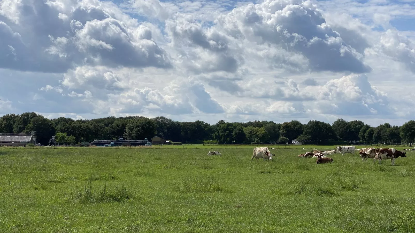 De Meerenhoeve-Uitzicht zomer