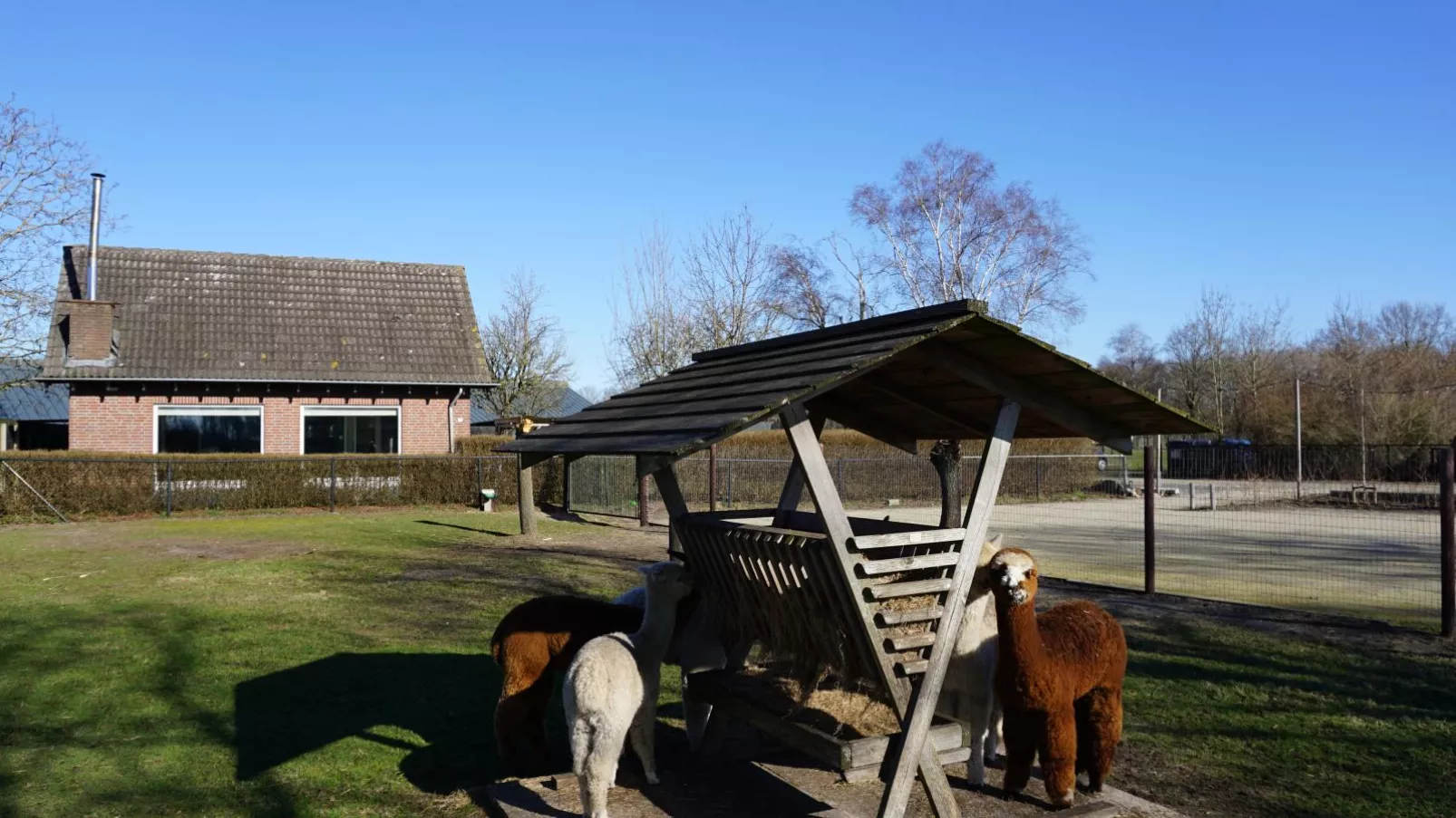 Alpacafarm Vorstenbosch-Gebieden zomer 1km