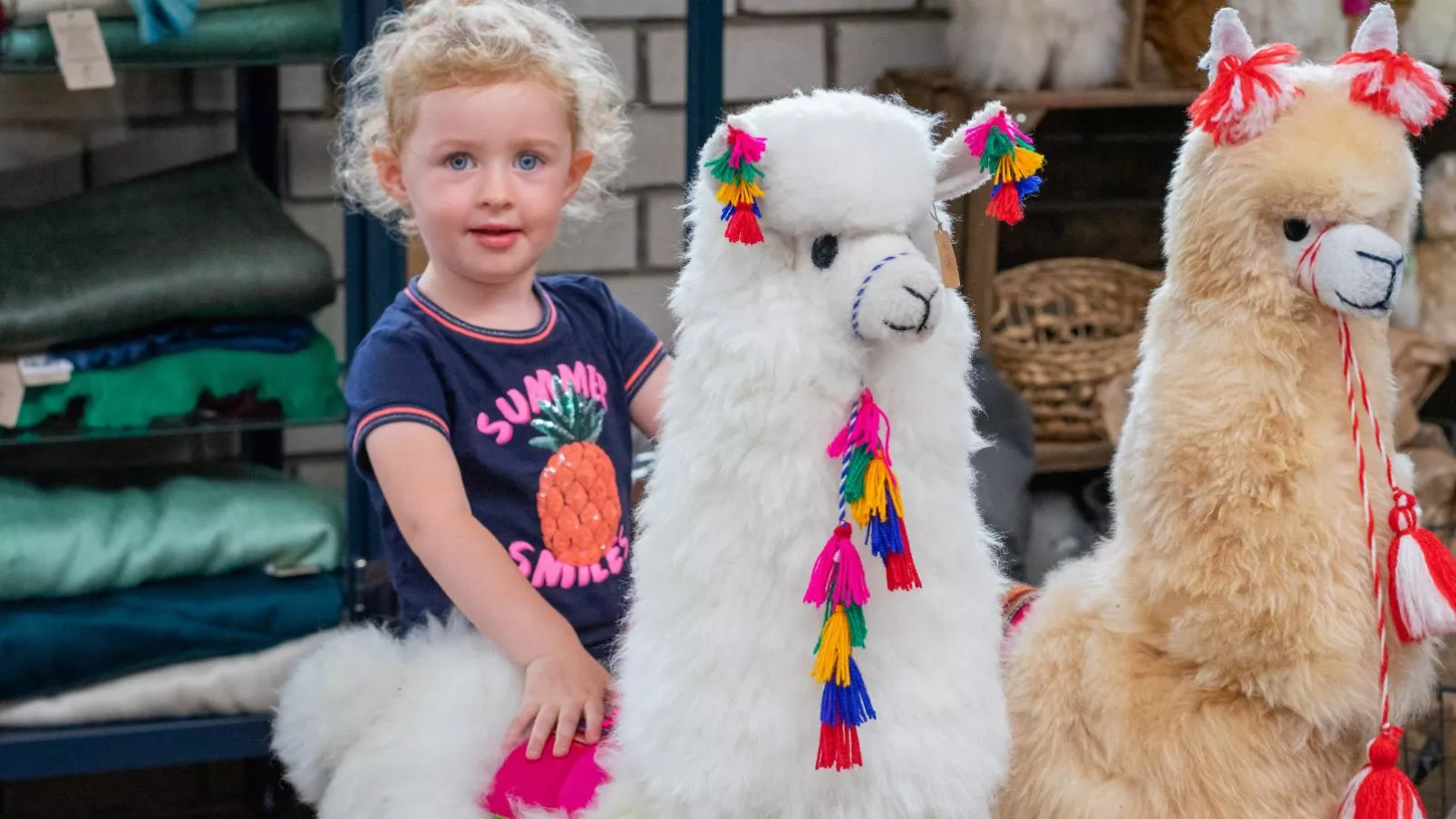 Alpacafarm Vorstenbosch-Sfeer