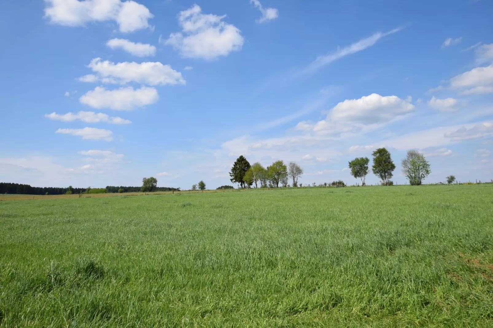 A la Clairette-Gebieden zomer 5km