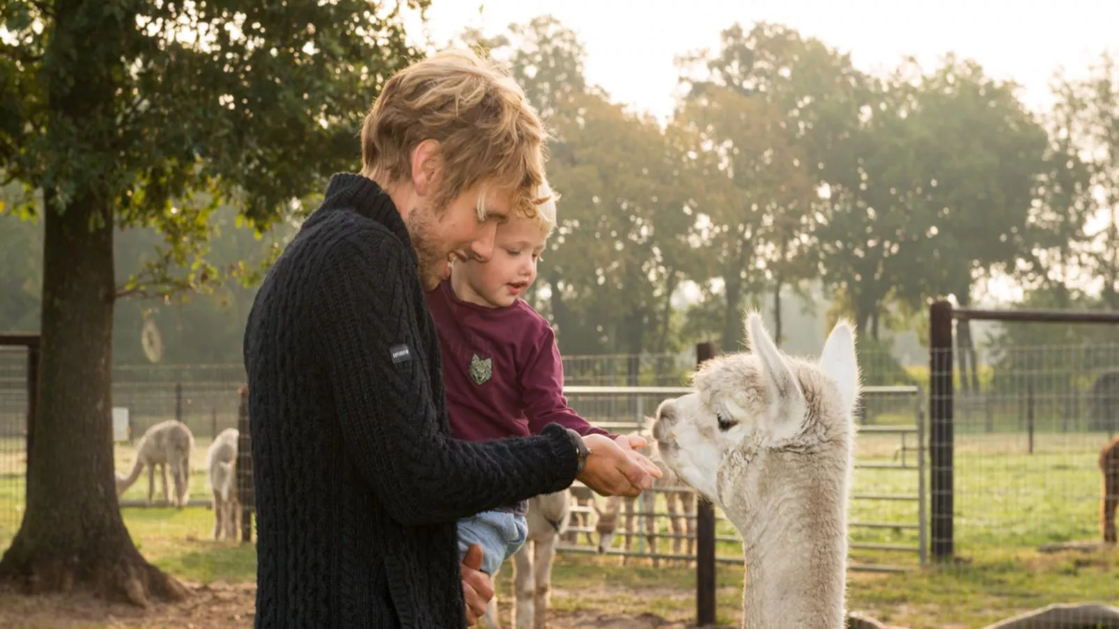 Alpacafarm Vorstenbosch-Sfeer