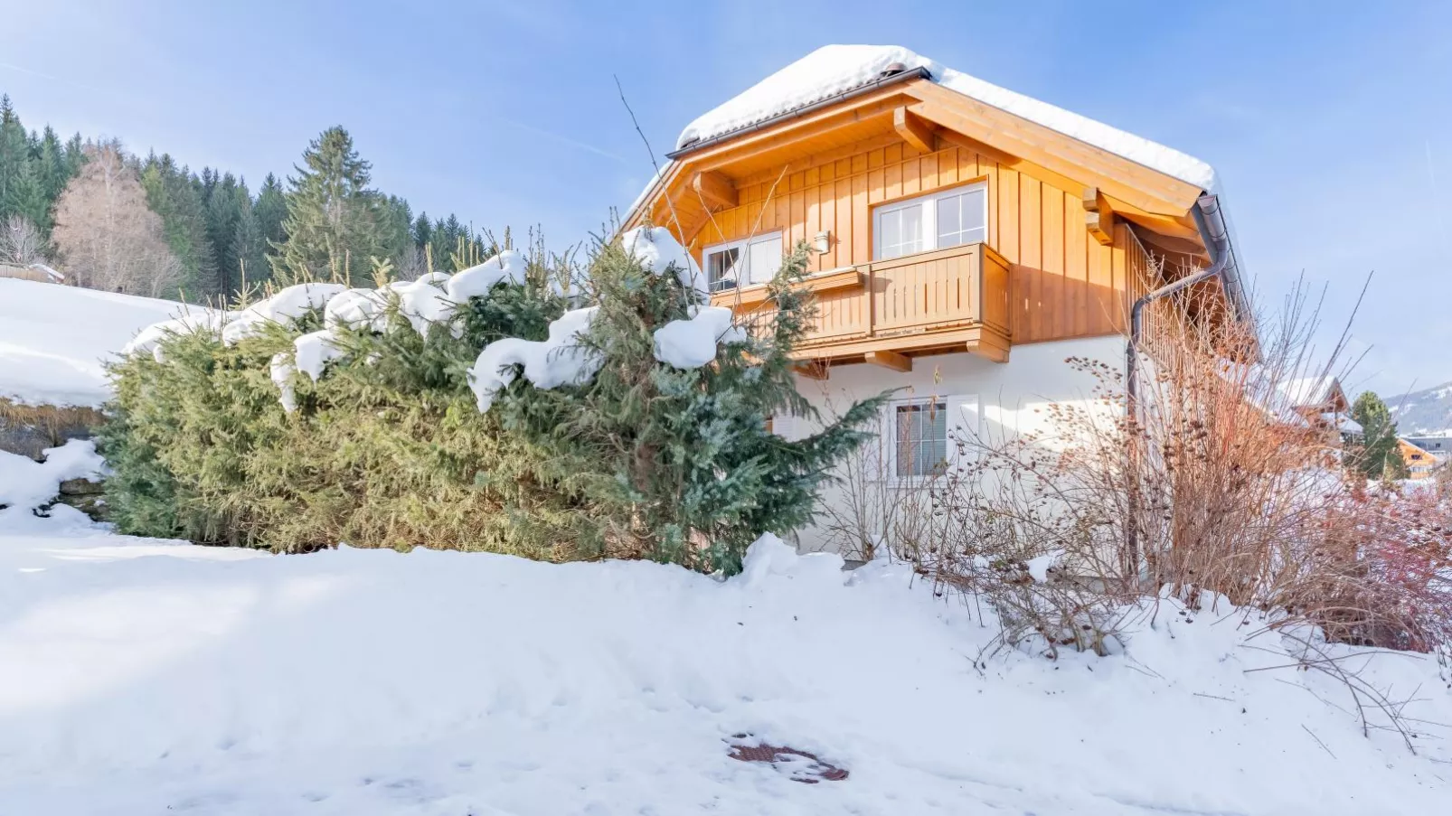 Chalet Bergblick-Exterieur winter