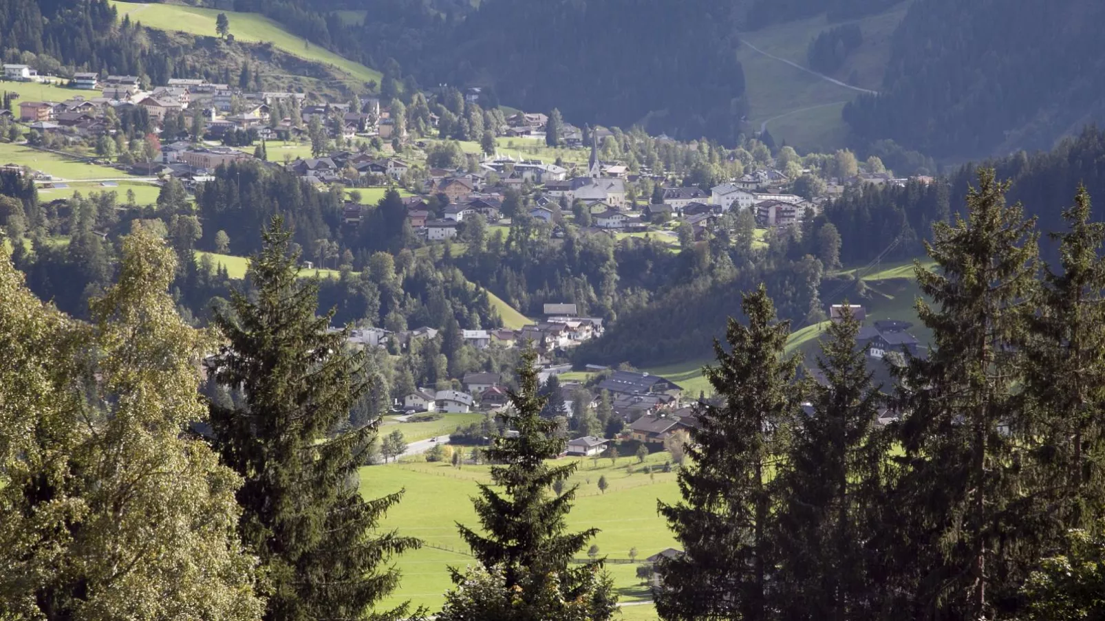 Schüttbach-Gebieden zomer 5km