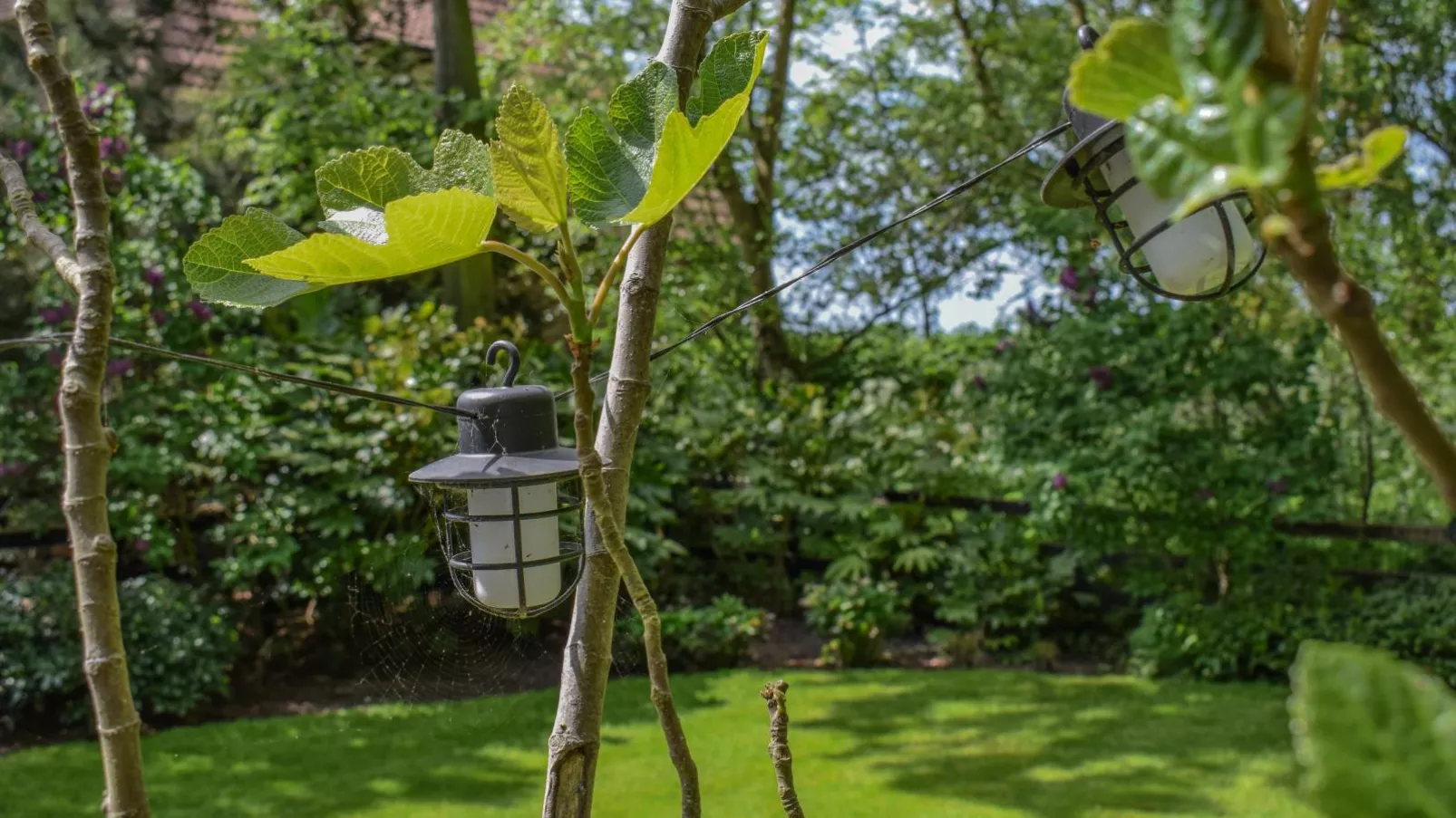 De IJsvogel-Tuinen zomer