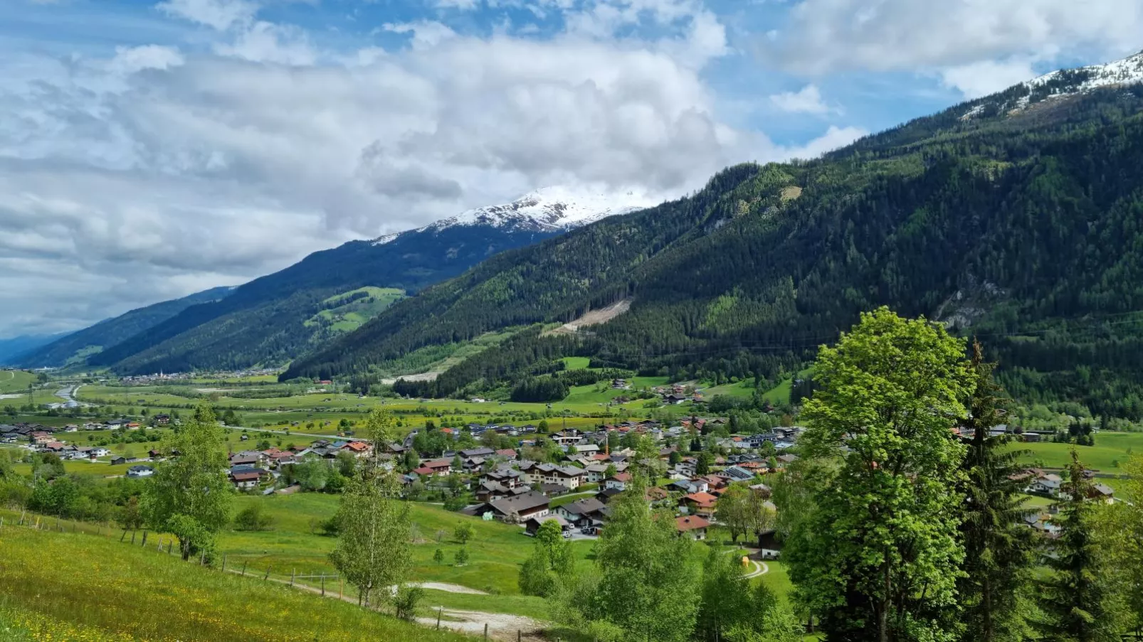 Kitzbüheler Alpen L-Gebieden zomer 1km