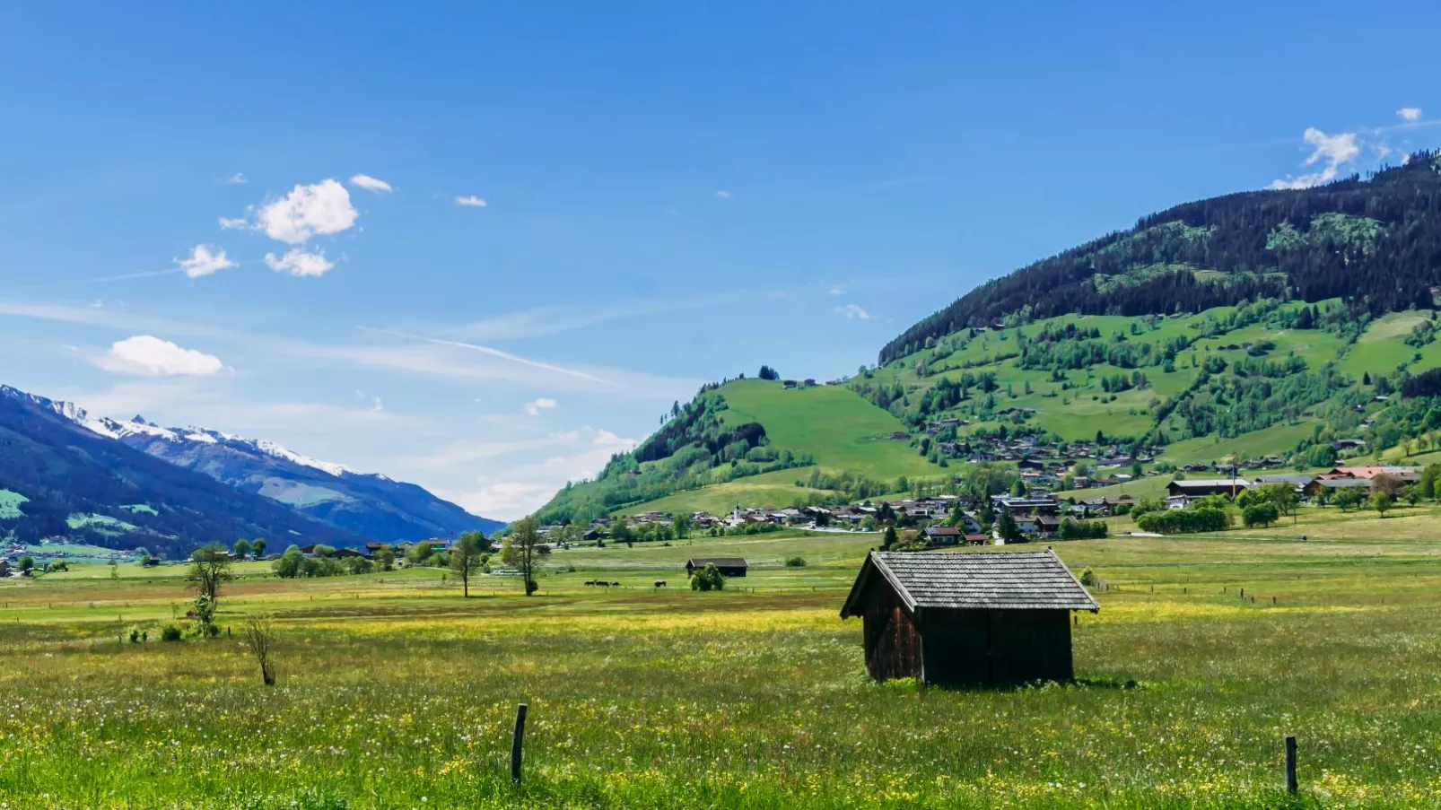 Tauern Lodge XL-Gebieden zomer 5km