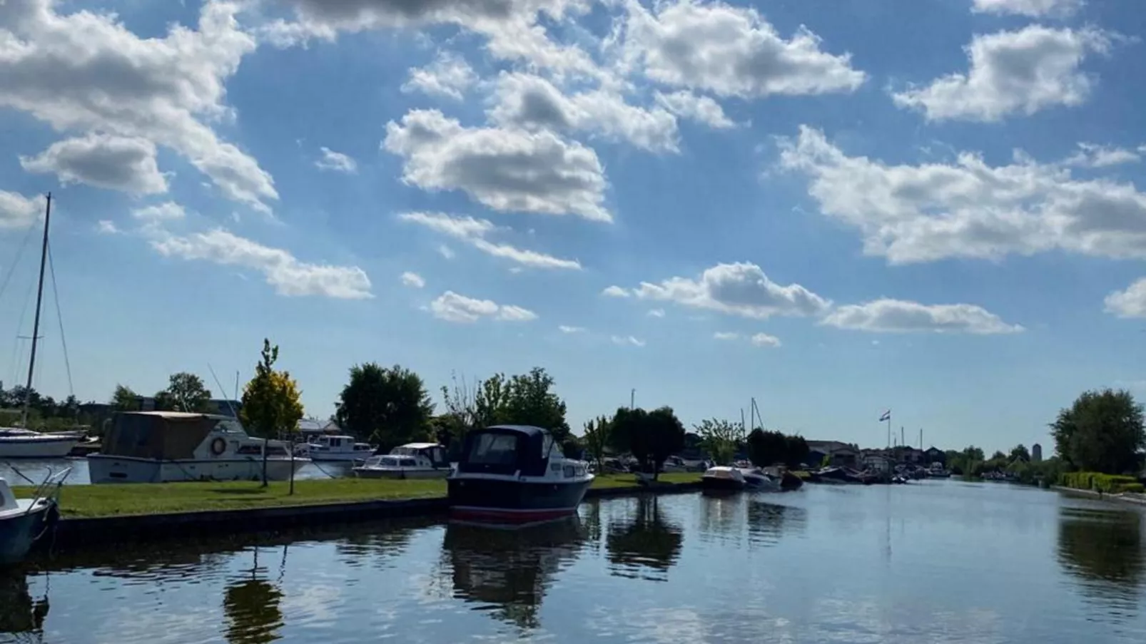 Zwaan 24-6-Gebieden zomer 1km