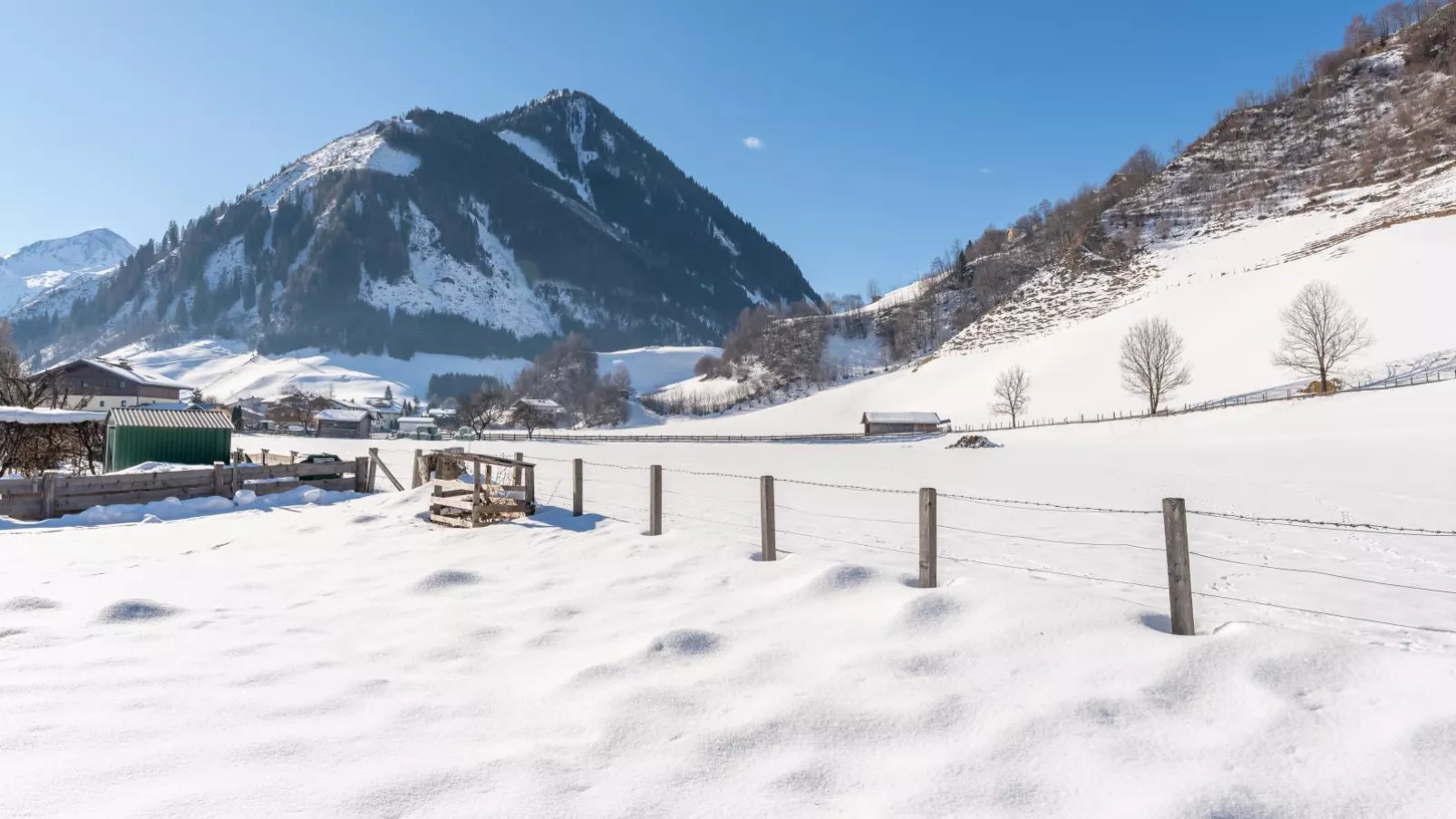 Traunerfeld-Uitzicht winter