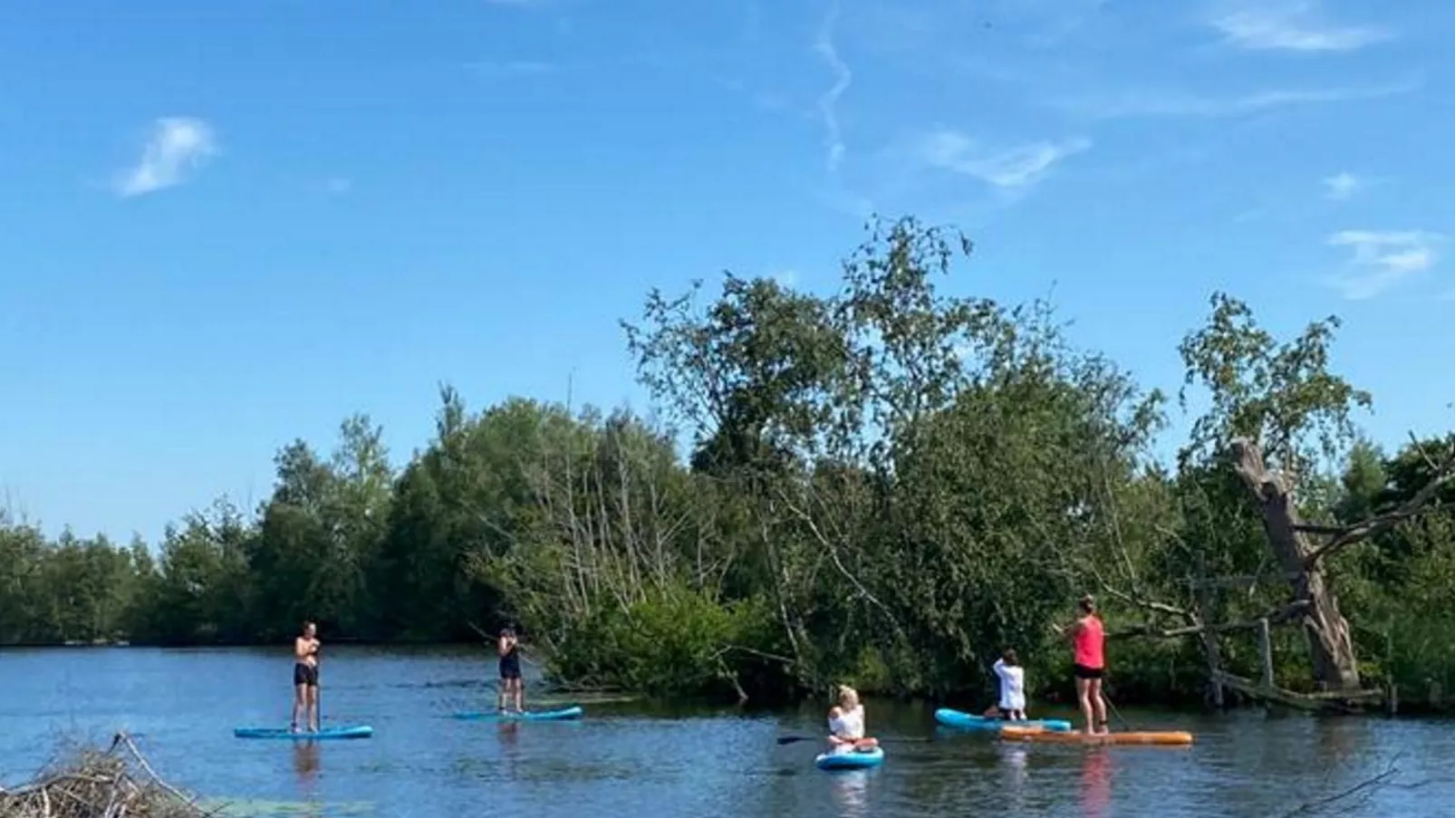 Blauwborst 24-24-Gebieden zomer 1km
