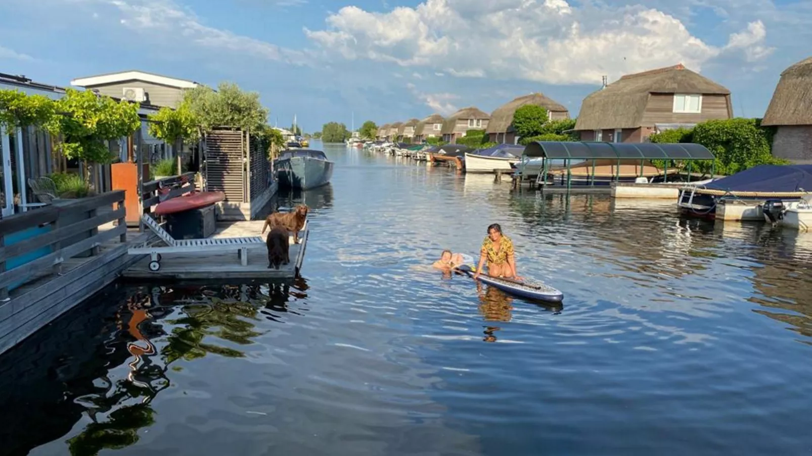 Grote Karekiet 24-30-Gebieden zomer 1km