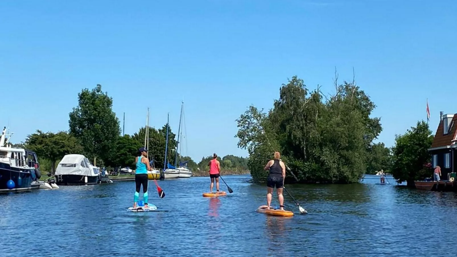 Grote Karekiet 24-30-Gebieden zomer 1km