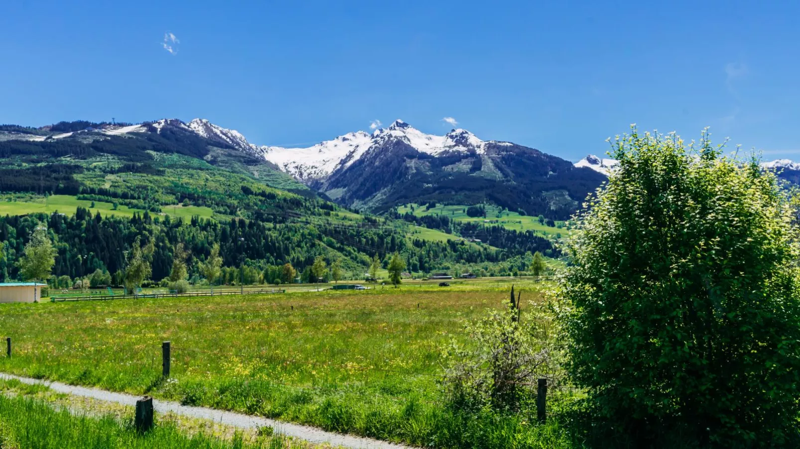 Tauern Lodge L-Gebieden zomer 1km