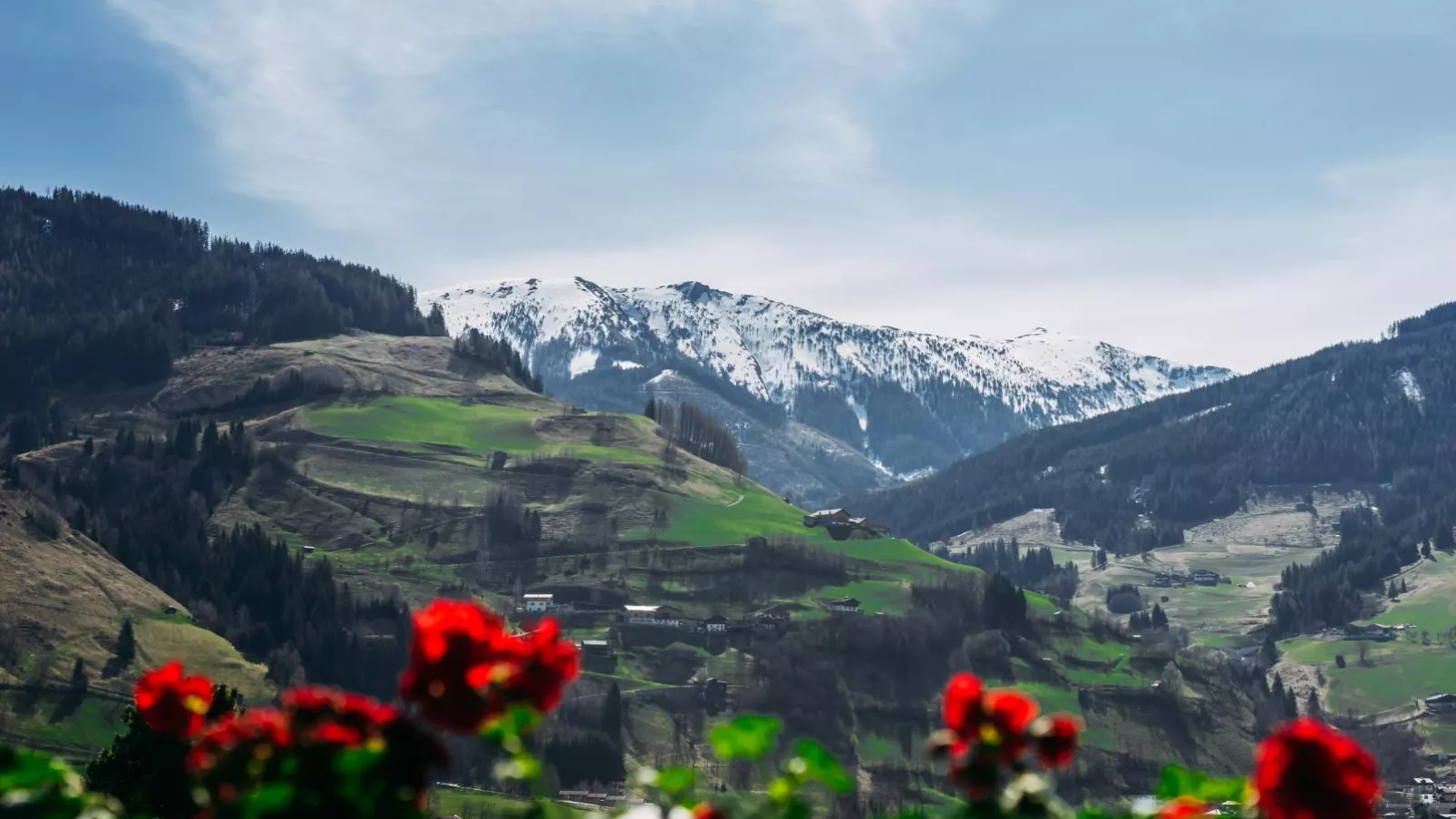 Bernkogel Penthouse-Uitzicht zomer