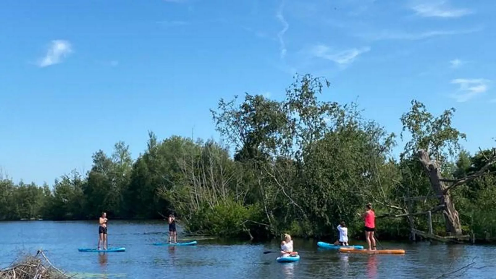 Grote Karekiet 24-22-Gebieden zomer 1km