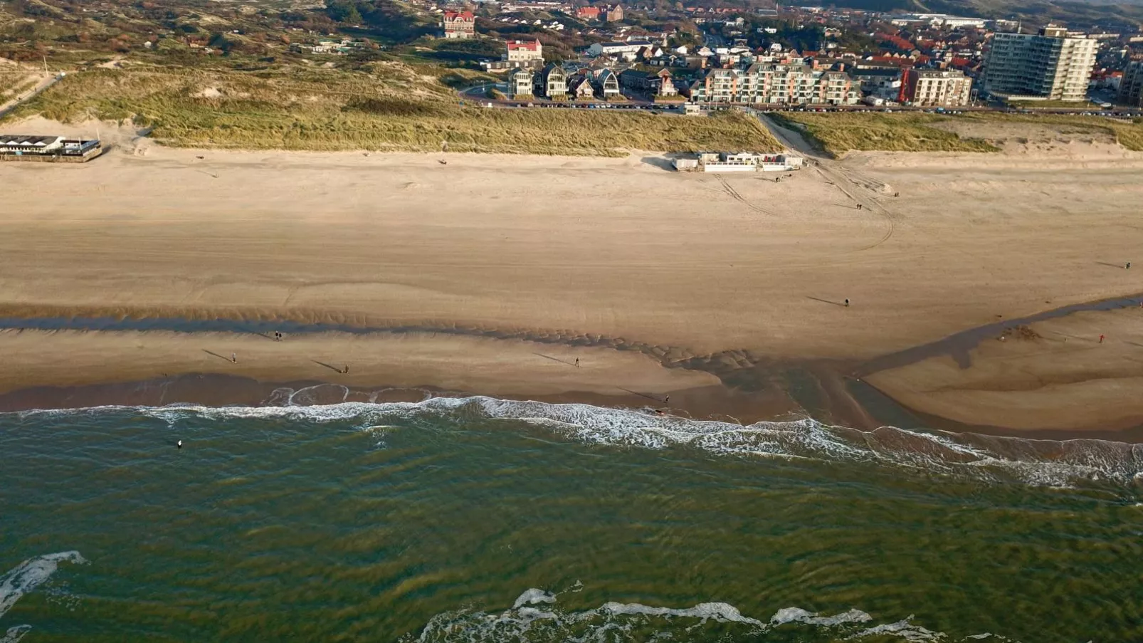 Krab aan Zee-Gebieden zomer 1km