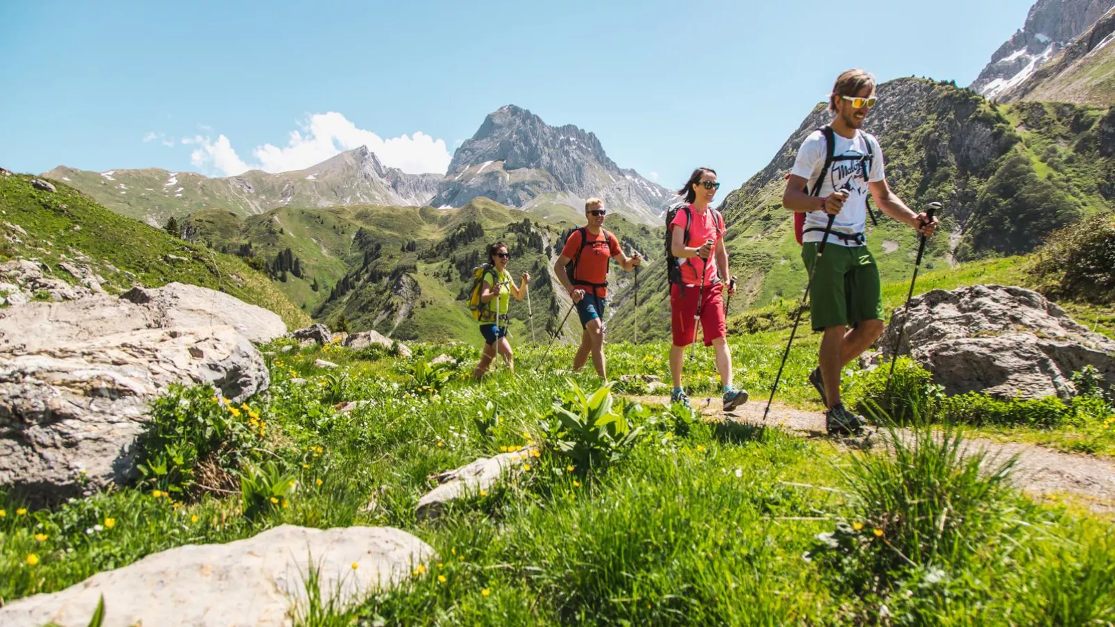 Hauserbauer-Gebieden zomer 20km