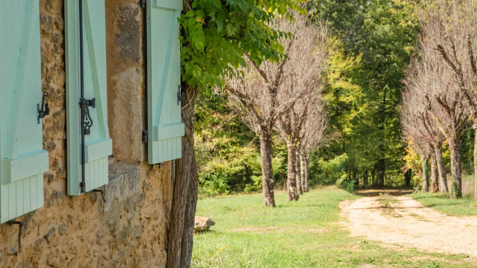 Maison Sauveterre-la-Lémance-Tuinen zomer