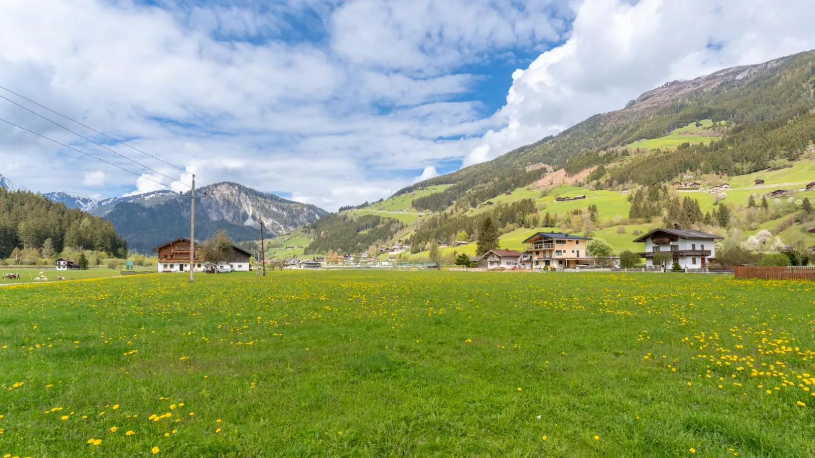 Haus Wald-Uitzicht zomer