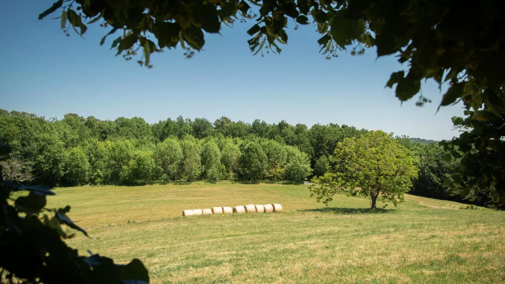 Maison Girou Haut-Tuinen zomer