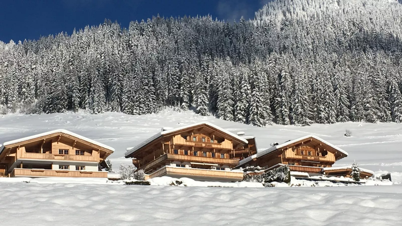 Haus Fernwald Top Rens-Exterieur winter
