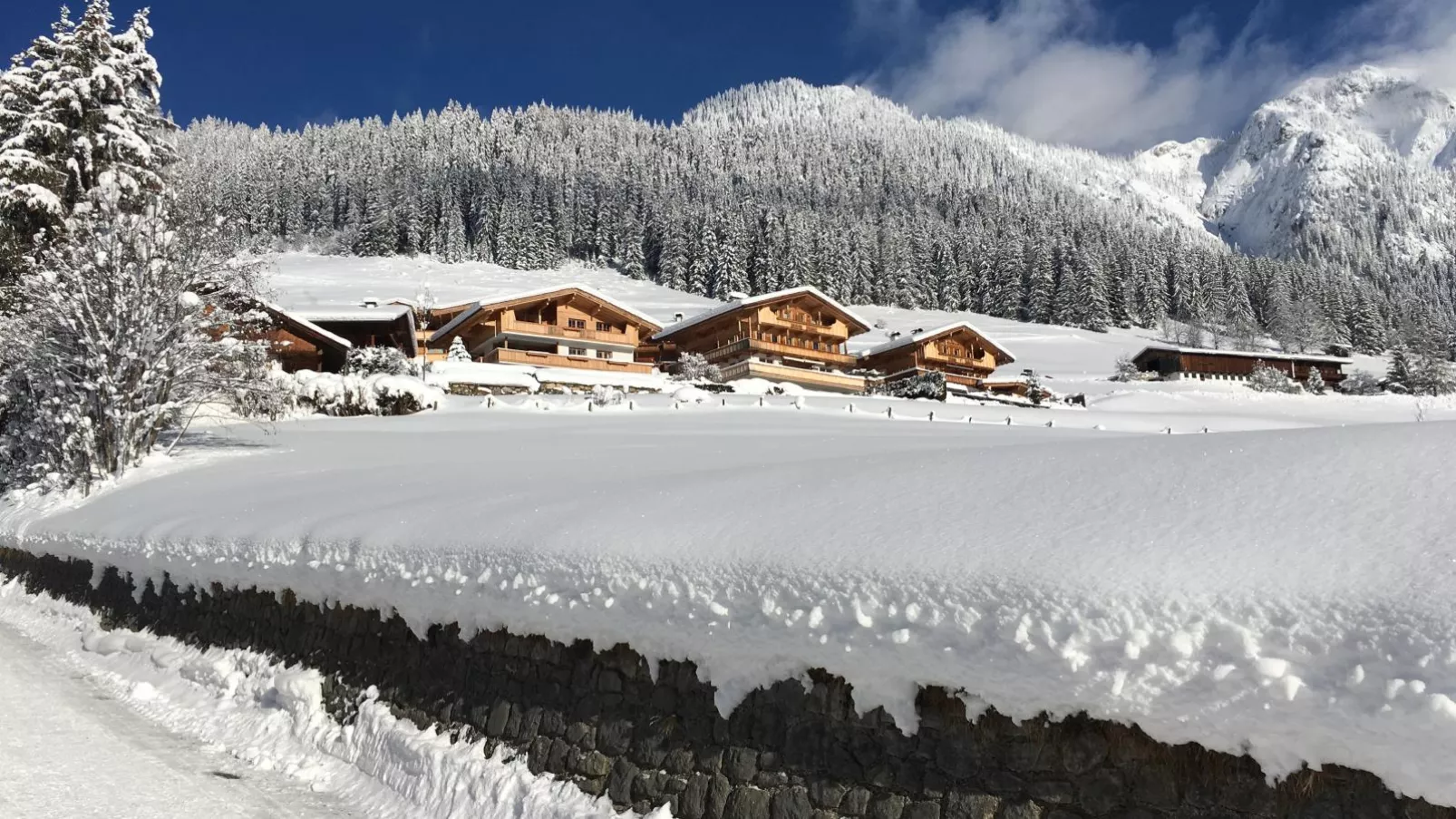 Haus Fernwald Top Rens-Exterieur winter
