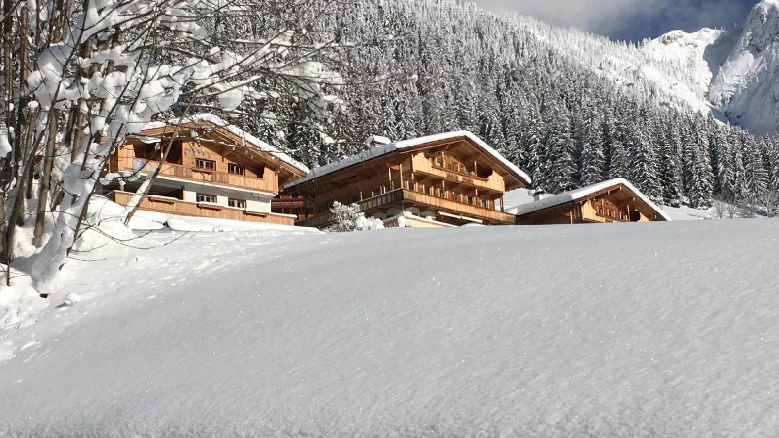 Haus Fernwald Top Tim-Exterieur winter