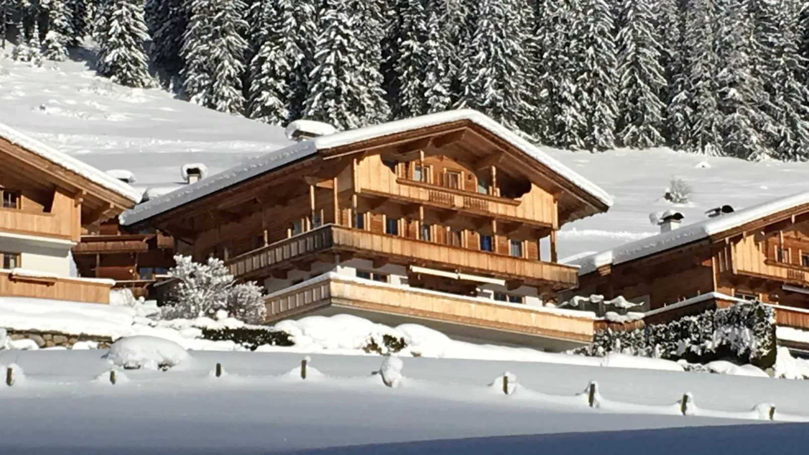 Haus Fernwald Top Nynke-Exterieur winter