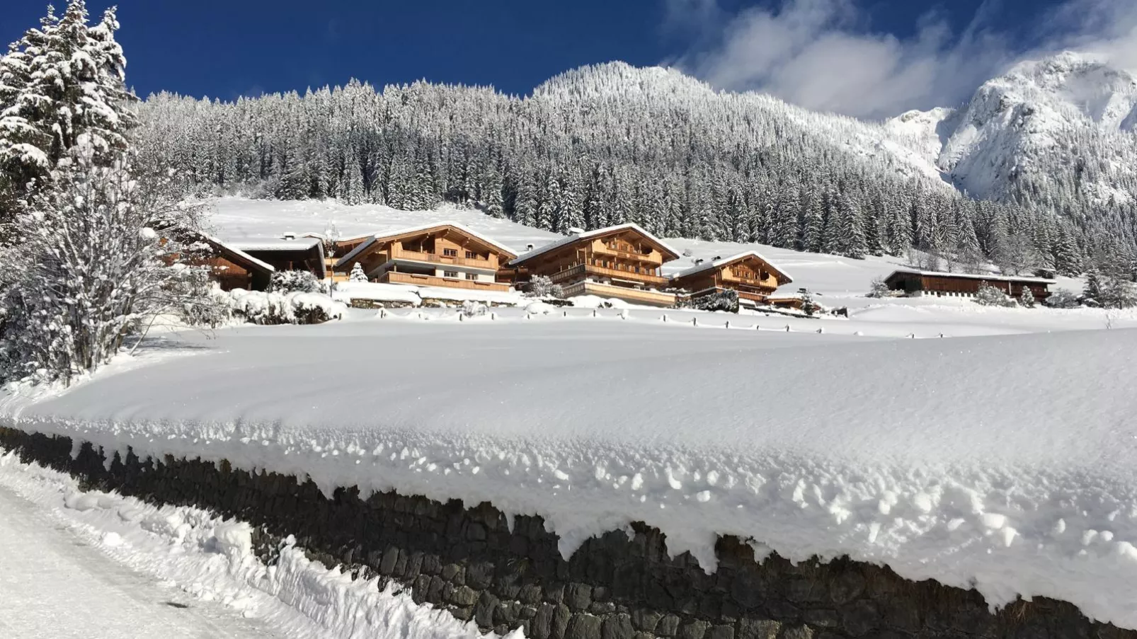 Haus Fernwald Top Nynke-Exterieur winter