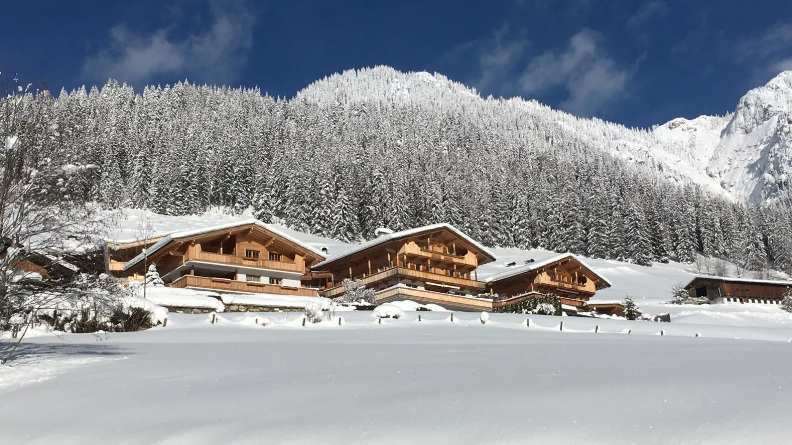 Haus Fernwald Top Nynke-Exterieur winter