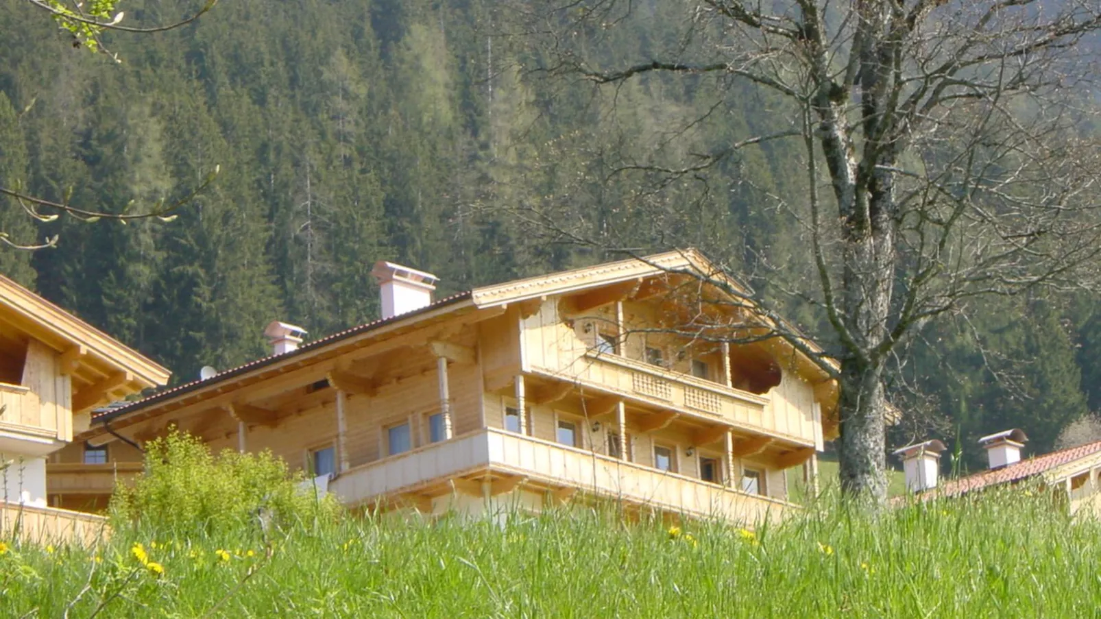 Haus Fernwald Top Nynke-Buitenkant zomer