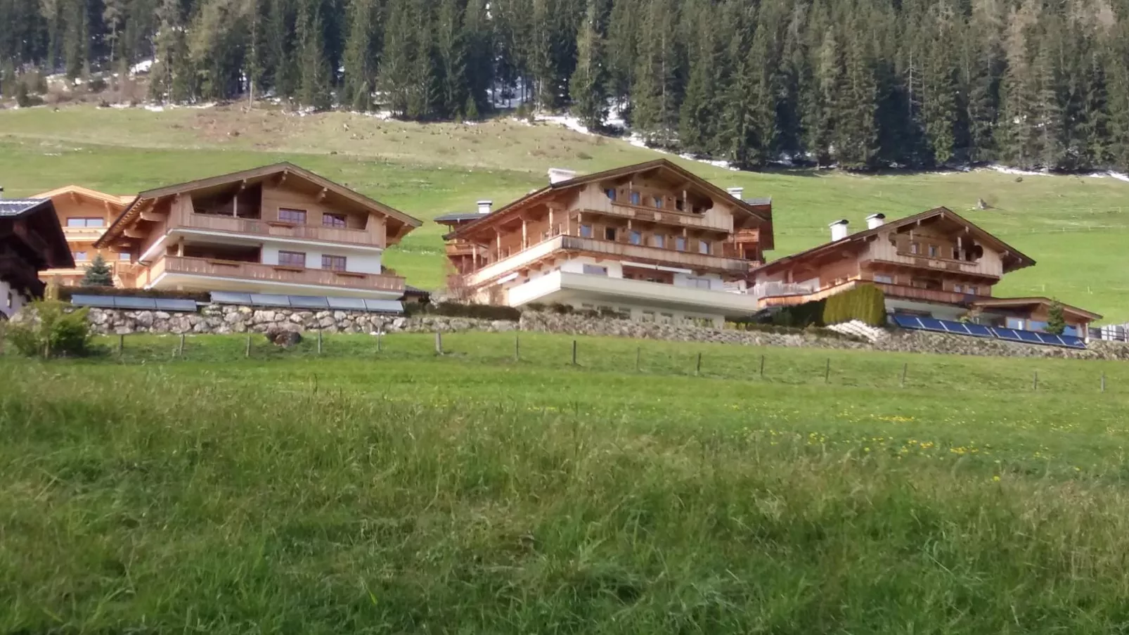 Haus Fernwald Top Nynke-Buitenkant zomer